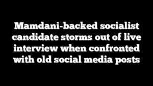 Mamdani-backed socialist candidate storms out of live interview when confronted with old social media posts