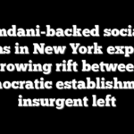 Mamdani-backed socialist wins in New York expose growing rift between Democratic establishment, insurgent left
