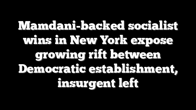 Mamdani-backed socialist wins in New York expose growing rift between Democratic establishment, insurgent left