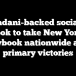 Mamdani-backed socialists look to take New York playbook nationwide after primary victories