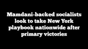 Mamdani-backed socialists look to take New York playbook nationwide after primary victories