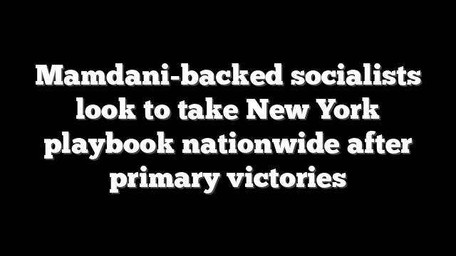 Mamdani-backed socialists look to take New York playbook nationwide after primary victories