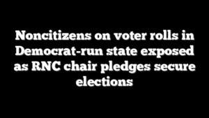 Noncitizens on voter rolls in Democrat-run state exposed as RNC chair pledges secure elections