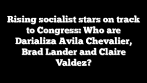 Rising socialist stars on track to Congress: Who are Darializa Avila Chevalier, Brad Lander and Claire Valdez?