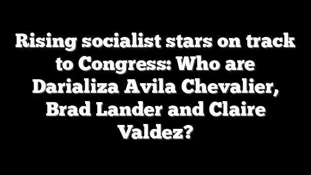 Rising socialist stars on track to Congress: Who are Darializa Avila Chevalier, Brad Lander and Claire Valdez?