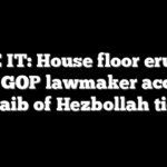 SEE IT: House floor erupts after GOP lawmaker accuses Tlaib of Hezbollah ties