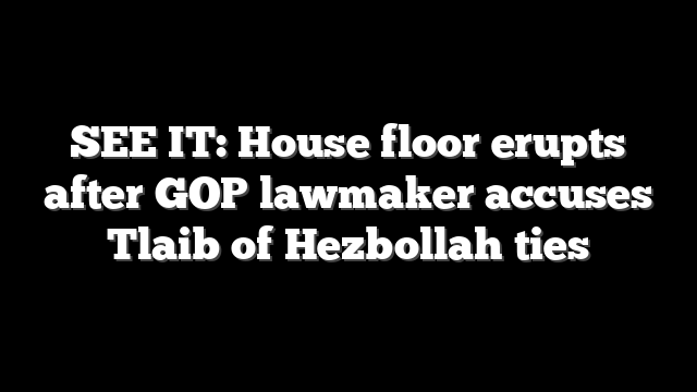 SEE IT: House floor erupts after GOP lawmaker accuses Tlaib of Hezbollah ties