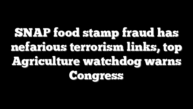 SNAP food stamp fraud has nefarious terrorism links, top Agriculture watchdog warns Congress