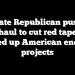 Senate Republican pushes overhaul to cut red tape and speed up American energy projects