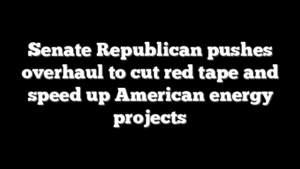 Senate Republican pushes overhaul to cut red tape and speed up American energy projects
