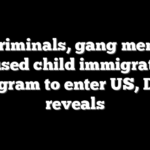 Sex criminals, gang members abused child immigration program to enter US, DHS reveals