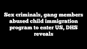 Sex criminals, gang members abused child immigration program to enter US, DHS reveals