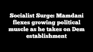 Socialist Surge: Mamdani flexes growing political muscle as he takes on Dem establishment
