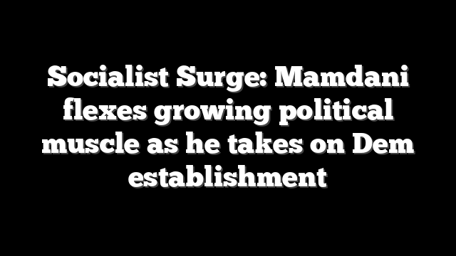 Socialist Surge: Mamdani flexes growing political muscle as he takes on Dem establishment
