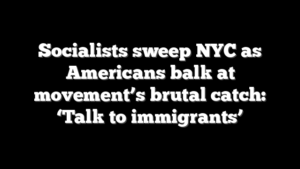 Socialists sweep NYC as Americans balk at movement’s brutal catch: ‘Talk to immigrants’