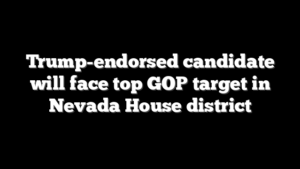 Trump-endorsed candidate will face top GOP target in Nevada House district
