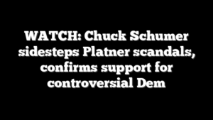 WATCH: Chuck Schumer sidesteps Platner scandals, confirms support for controversial Dem