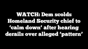 WATCH: Dem scolds Homeland Security chief to ‘calm down’ after hearing derails over alleged ‘pattern’
