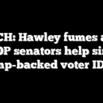 WATCH: Hawley fumes after 4 GOP senators help sink Trump-backed voter ID law