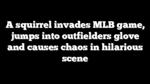 A squirrel invades MLB game, jumps into outfielders glove and causes chaos in hilarious scene