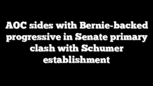 AOC sides with Bernie-backed progressive in Senate primary clash with Schumer establishment