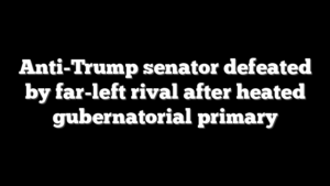 Anti-Trump senator defeated by far-left rival after heated gubernatorial primary