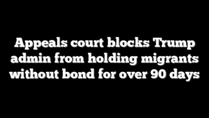 Appeals court blocks Trump admin from holding migrants without bond for over 90 days