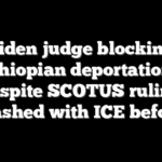 Biden judge blocking Ethiopian deportations despite SCOTUS ruling clashed with ICE before