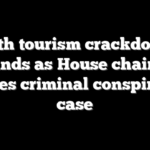 Birth tourism crackdown expands as House chairman raises criminal conspiracy case
