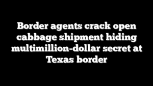 Border agents crack open cabbage shipment hiding multimillion-dollar secret at Texas border