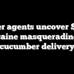 Border agents uncover $3.7M in cocaine masquerading as a cucumber delivery