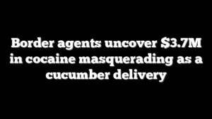 Border agents uncover $3.7M in cocaine masquerading as a cucumber delivery