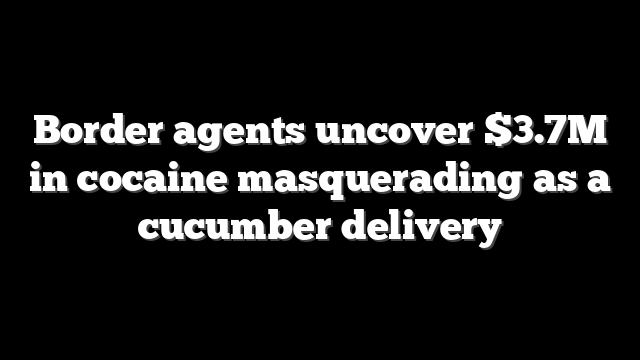 Border agents uncover $3.7M in cocaine masquerading as a cucumber delivery