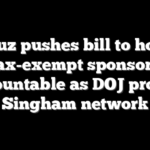 Cruz pushes bill to hold tax-exempt sponsors accountable as DOJ probes Singham network