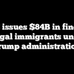 DHS issues $84B in fines to illegal immigrants under Trump administration
