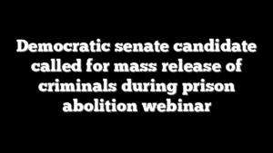 Democratic senate candidate called for mass release of criminals during prison abolition webinar