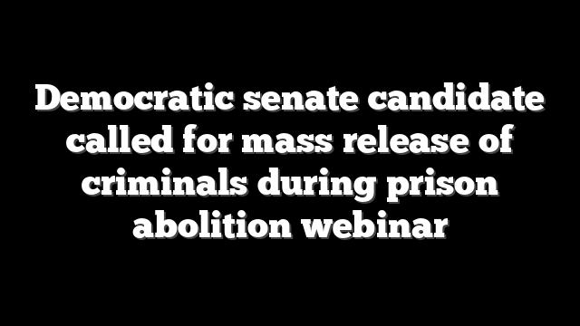 Democratic senate candidate called for mass release of criminals during prison abolition webinar