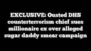EXCLUSIVE: Ousted DHS counterterrorism chief sues millionaire ex over alleged sugar daddy smear campaign