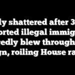 Family shattered after 3-time deported illegal immigrant allegedly blew through stop sign, roiling House race