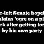 Far-left Senate hopeful explains ‘ogre on a pike’ remark after getting torched by his own party