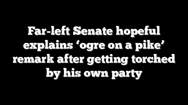Far-left Senate hopeful explains ‘ogre on a pike’ remark after getting torched by his own party