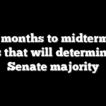 Four months to midterms: 12 races that will determine the Senate majority