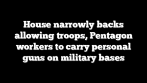 House narrowly backs allowing troops, Pentagon workers to carry personal guns on military bases