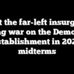Meet the far-left insurgents waging war on the Democratic establishment in 2026 midterms