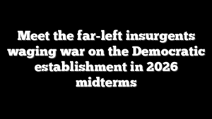 Meet the far-left insurgents waging war on the Democratic establishment in 2026 midterms