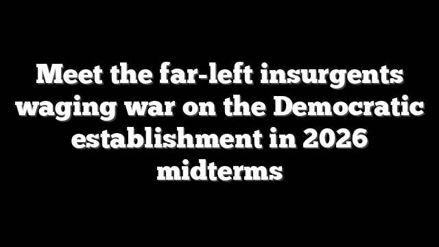 Meet the far-left insurgents waging war on the Democratic establishment in 2026 midterms
