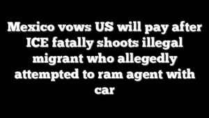 Mexico vows US will pay after ICE fatally shoots illegal migrant who allegedly attempted to ram agent with car