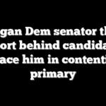Michigan Dem senator throws support behind candidate to replace him in contentious primary