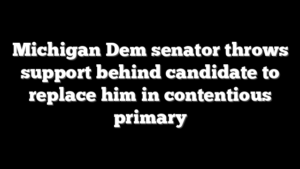 Michigan Dem senator throws support behind candidate to replace him in contentious primary