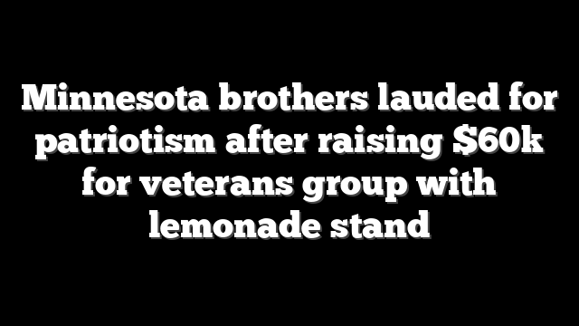 Minnesota brothers lauded for patriotism after raising $60k for veterans group with lemonade stand